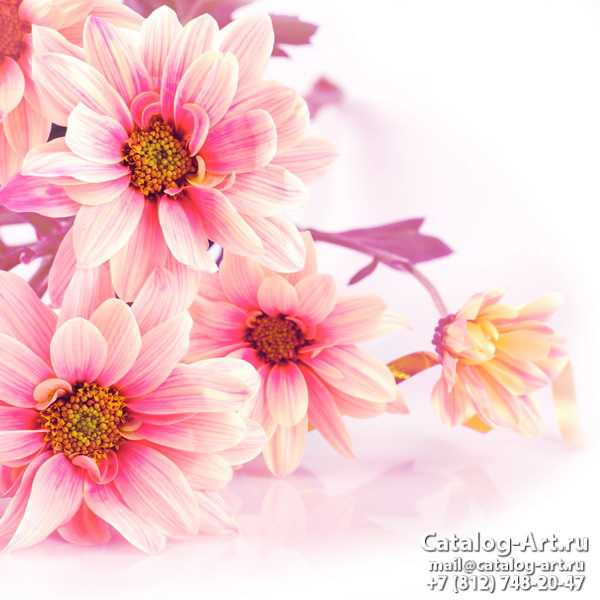 Pink flowers 46